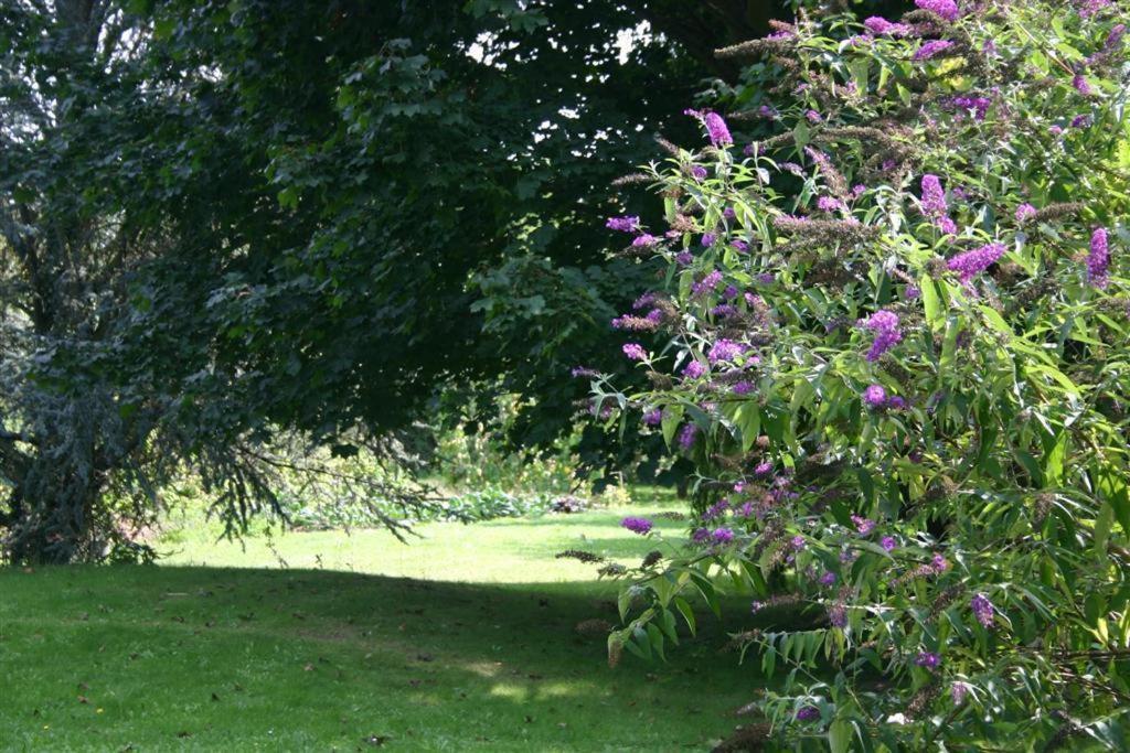 Bois Joli De La Freyere Bed & Breakfast Hindisheim Exterior photo